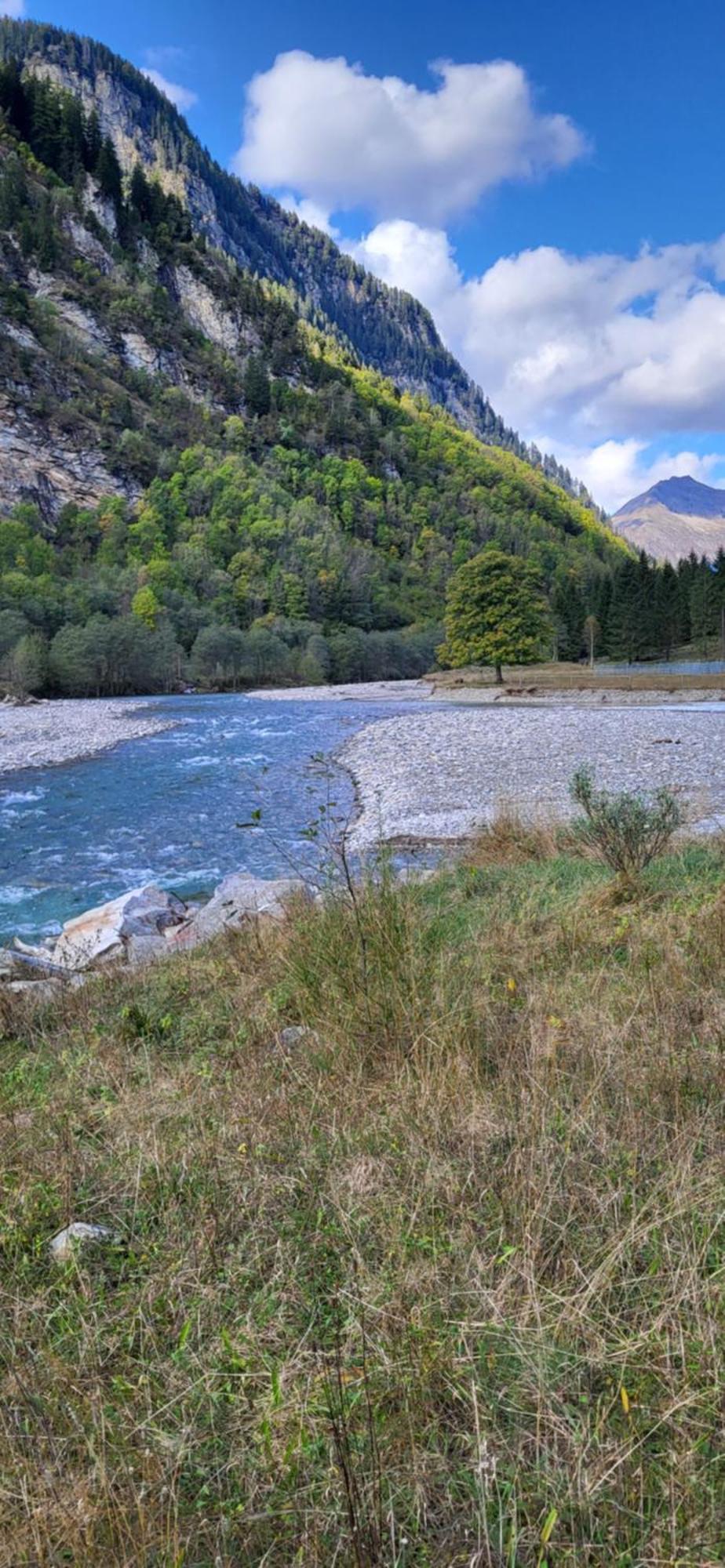 Casa Oliver, Tra La Calanca E I Castelli Di Bellinzona Grono